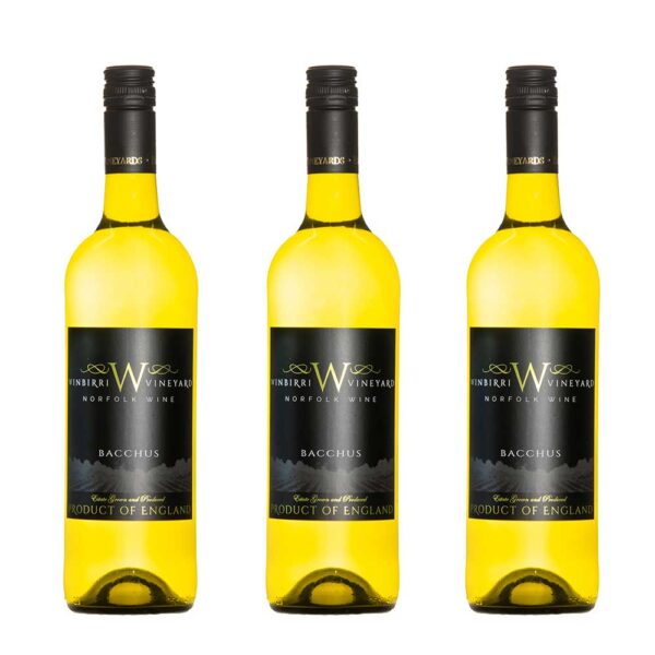 Winbirri bacchus