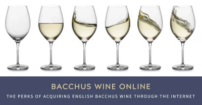 Bacchus wine online