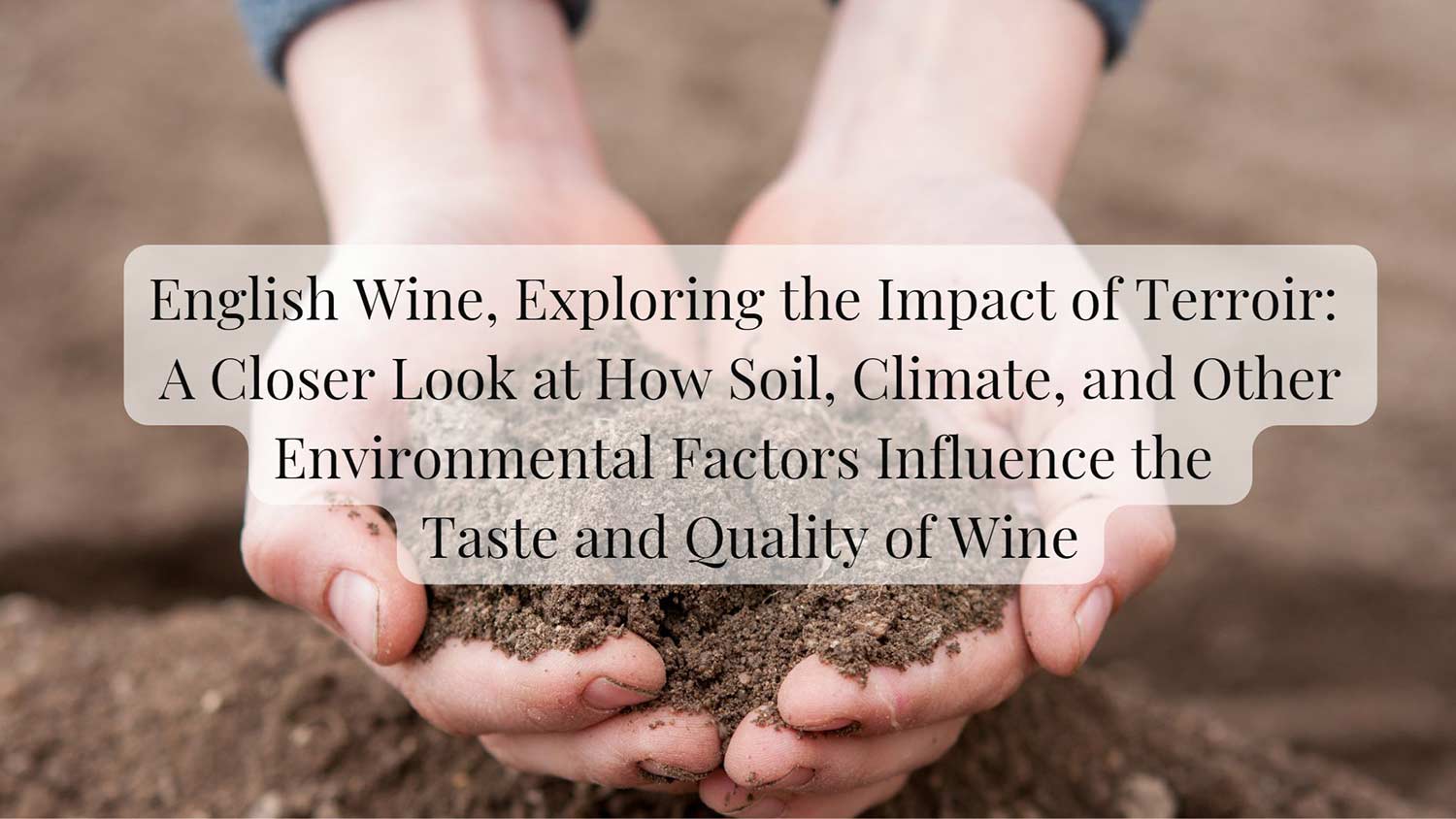 English wine terroir
