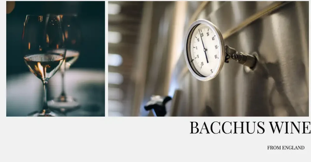 Bacchus wine england