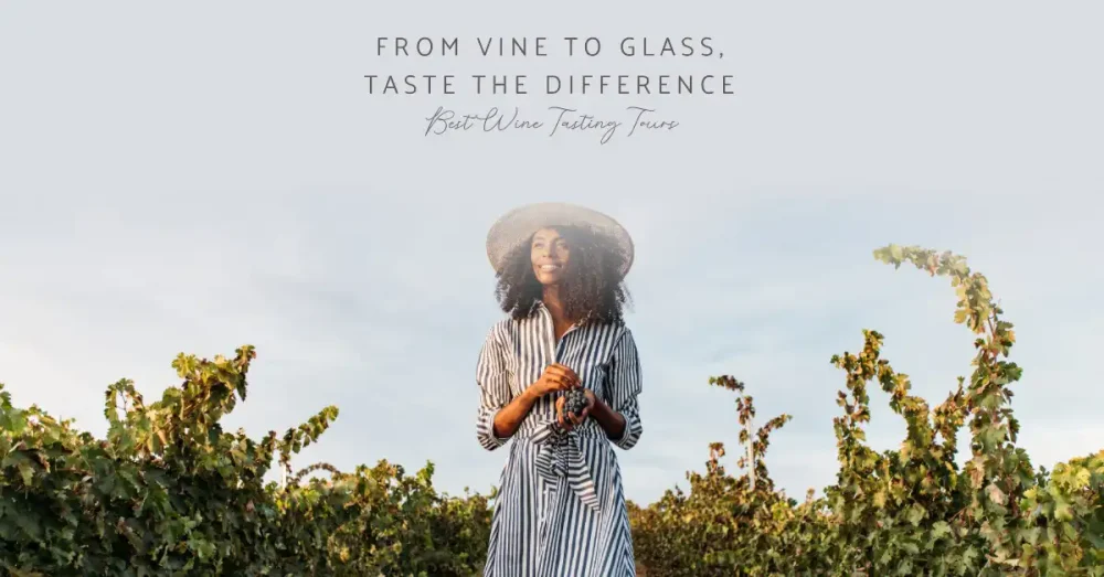 Best Wine Tasting