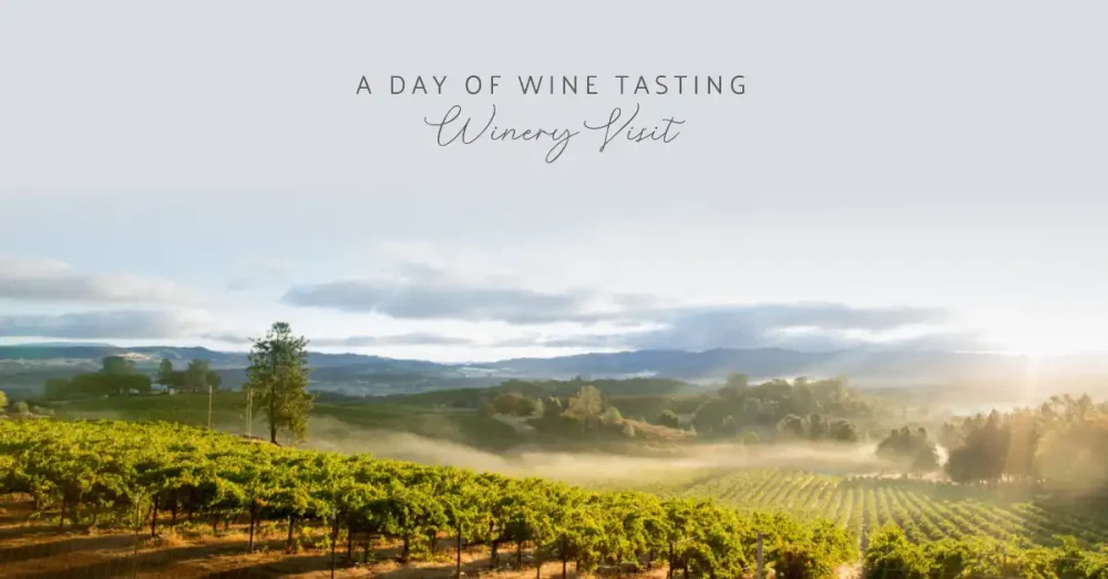 winery visit